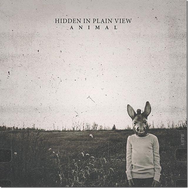 Hidden In Plain View