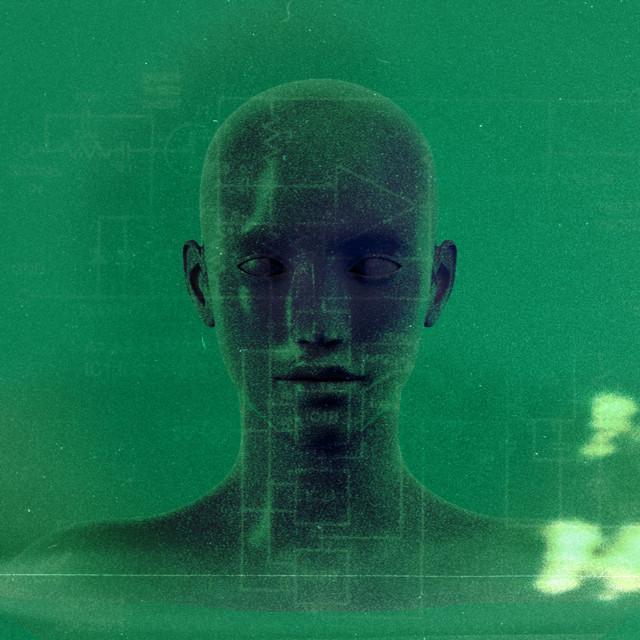 The Human Touch