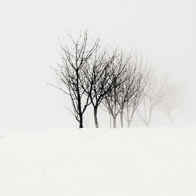 Shores Of Null