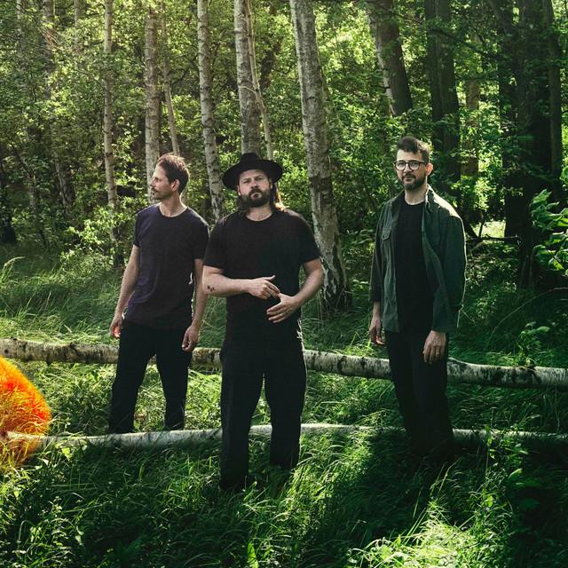 Mighty Oaks