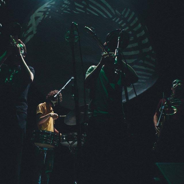 The Zebra Street Band