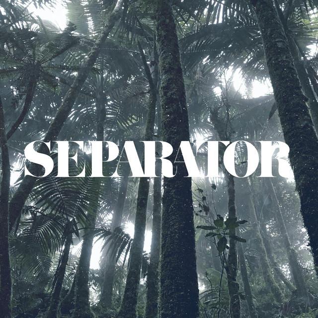 Separator