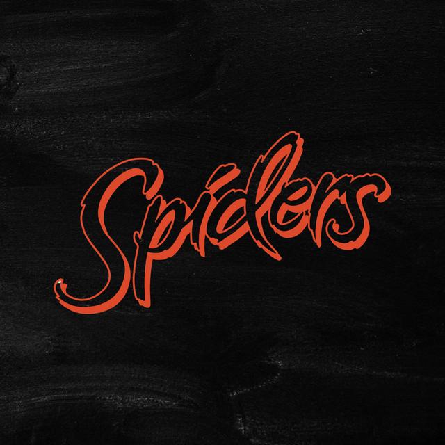 Spiders