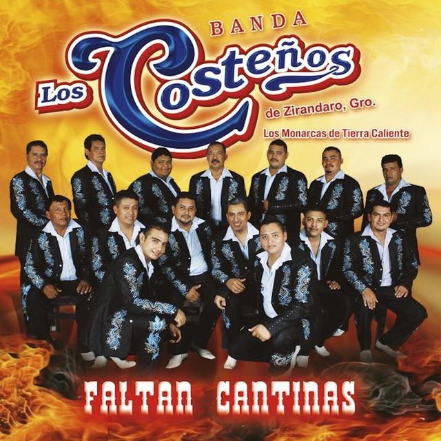 Banda los Costeños de Zirándaro Guerrero