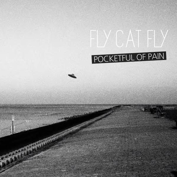 Fly Cat Fly
