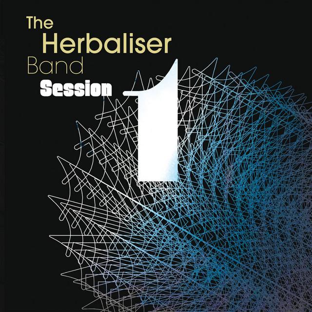 The Herbaliser Band