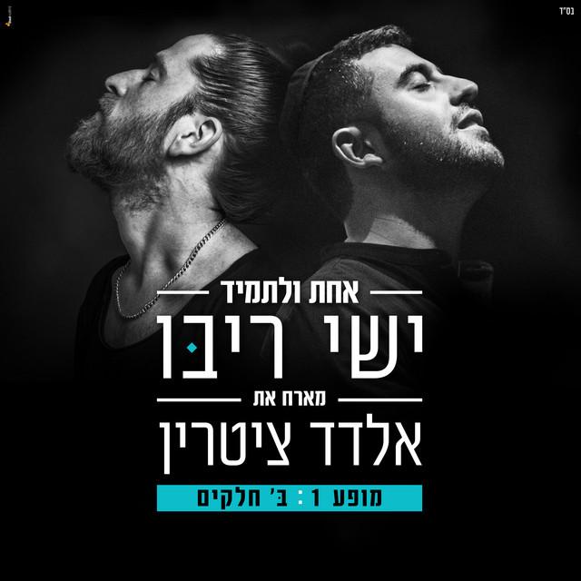 אלדד ציטרין