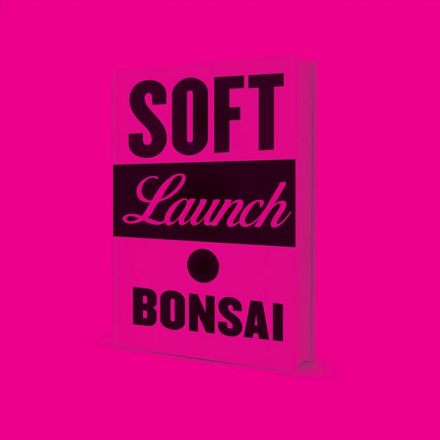Soft Launch