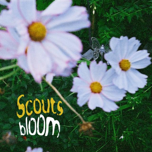 Scouts