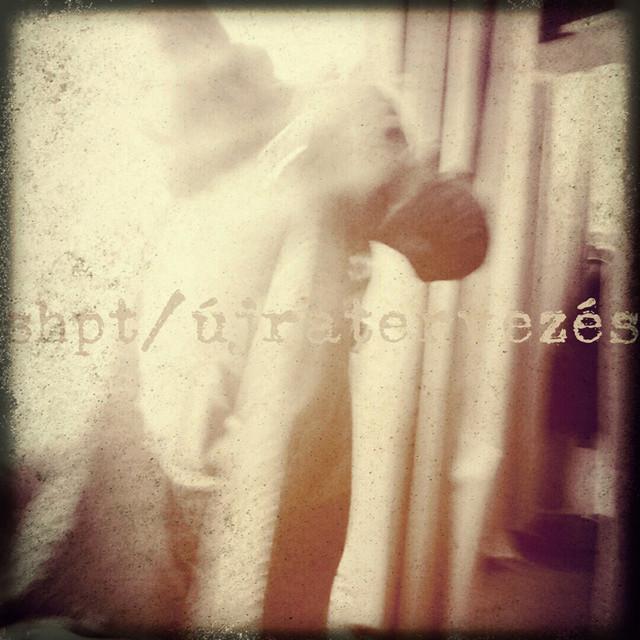 Shapat Terror