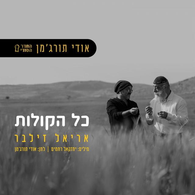 אריאל זילבר