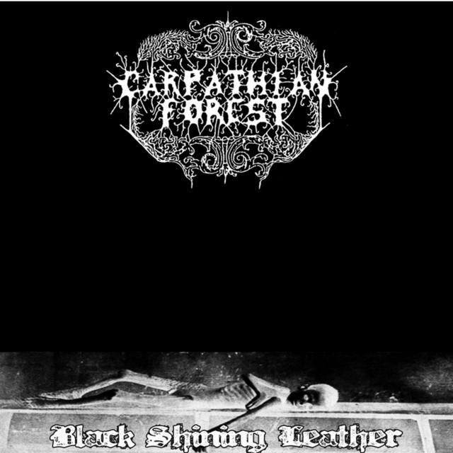 Carpathian Forest