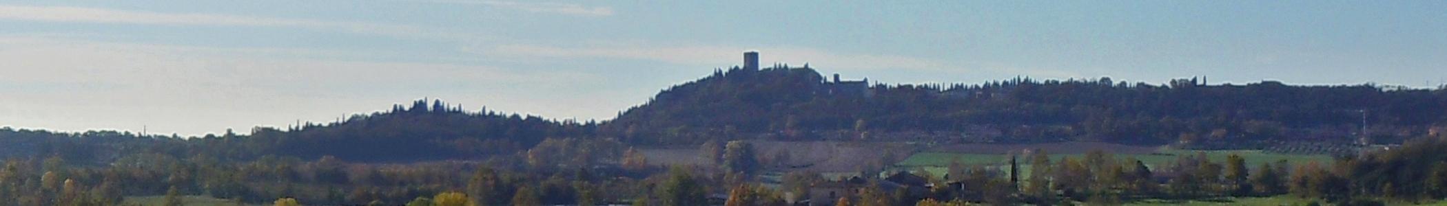 Banner image for Mantova on GigsGuide