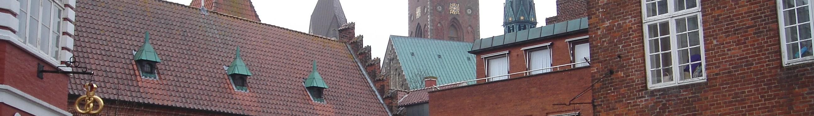 Banner image for Ribe on GigsGuide