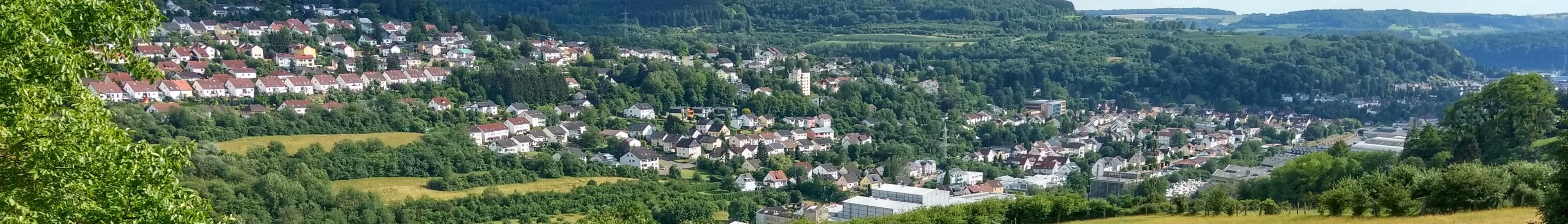 Banner image for Merzig on GigsGuide