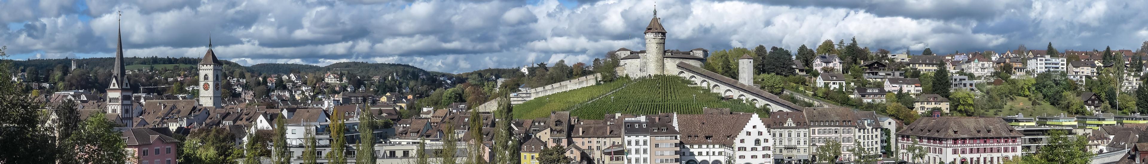 Banner image for Schaffhausen on GigsGuide