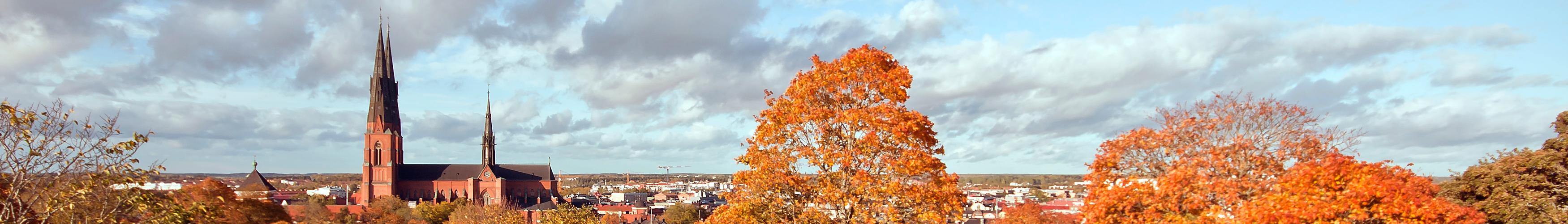 Banner image for Uppsala on GigsGuide