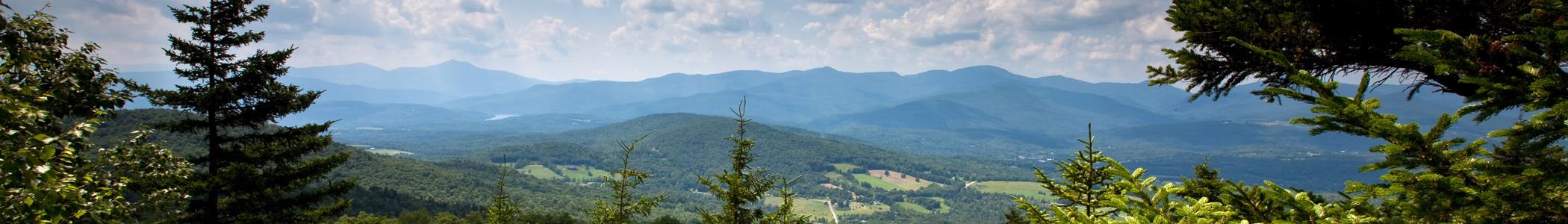 Banner image for Stowe on GigsGuide