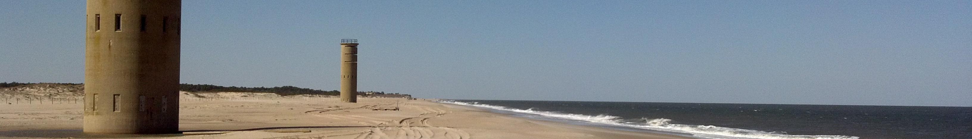 Banner image for Rehoboth Beach on GigsGuide