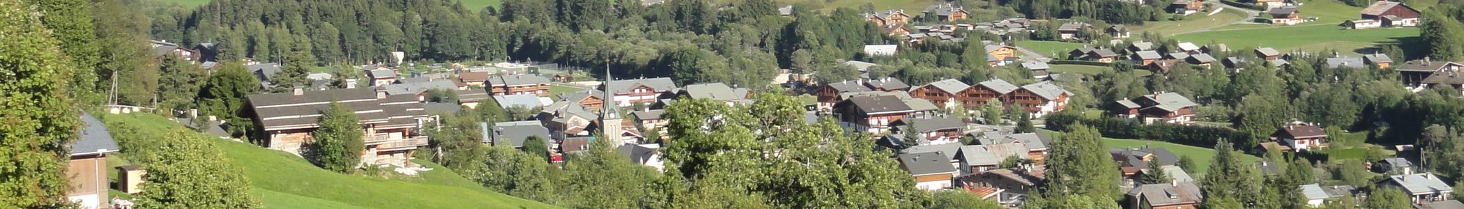 Banner image for Praz-sur-Arly on GigsGuide