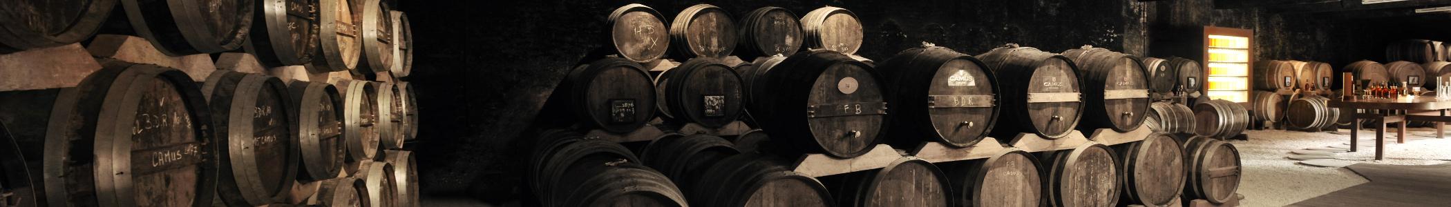 Banner image for Cognac on GigsGuide