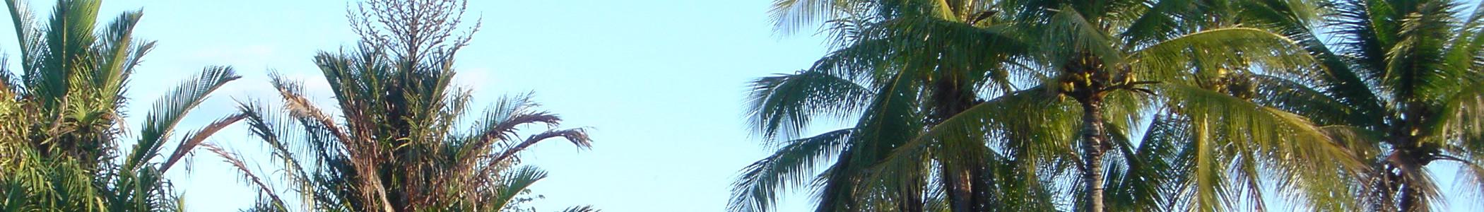 Banner image for Townsville on GigsGuide