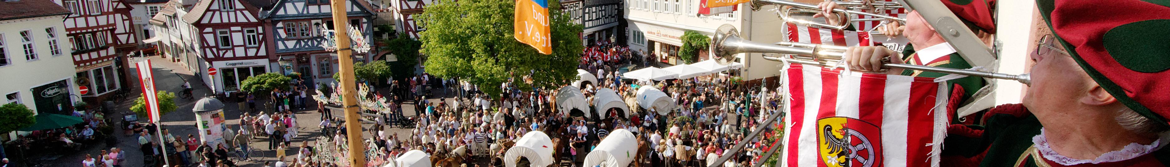Banner image for Seligenstadt on GigsGuide