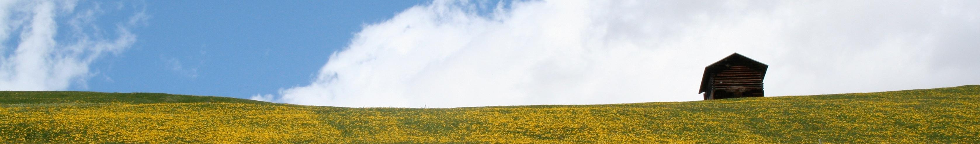 Banner image for Falera on GigsGuide