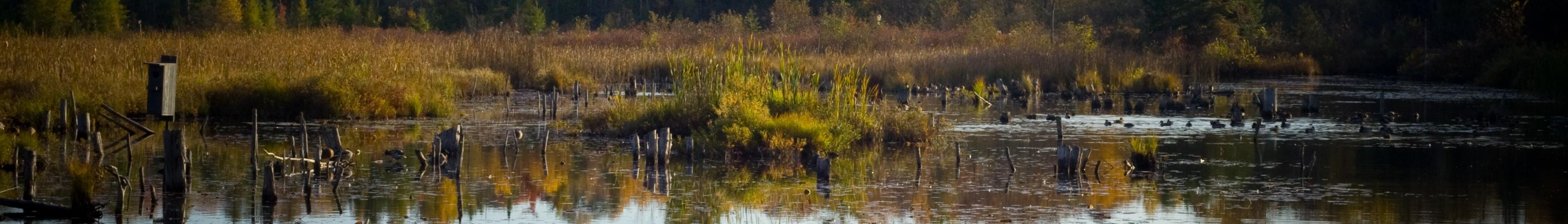 Banner image for Orillia on GigsGuide