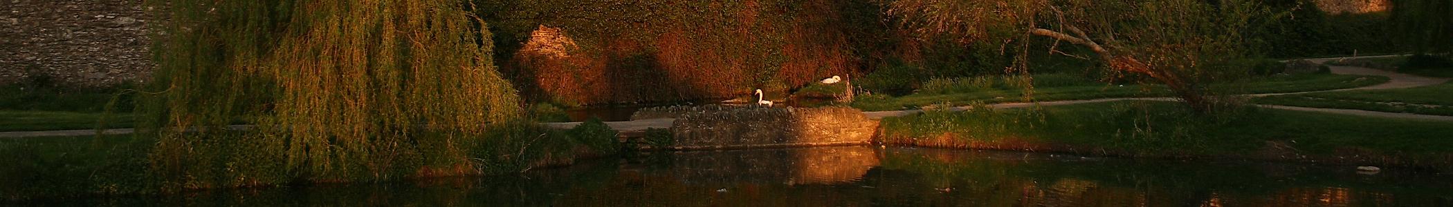 Banner image for Naas on GigsGuide