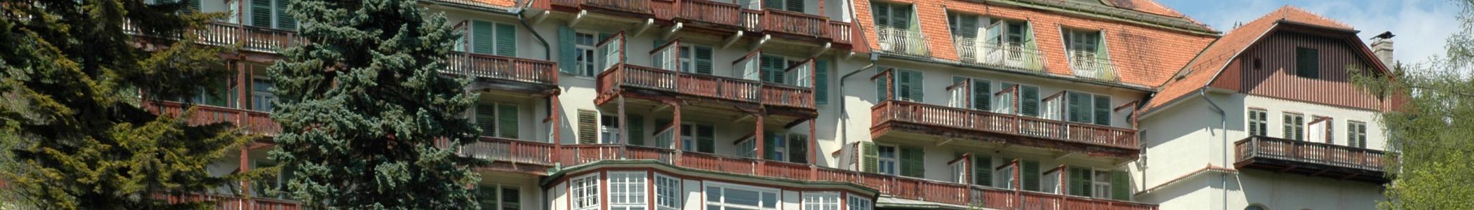 Banner image for Semmering on GigsGuide