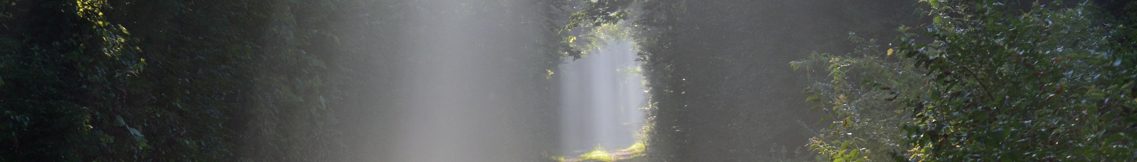Banner image for Fairfield on GigsGuide