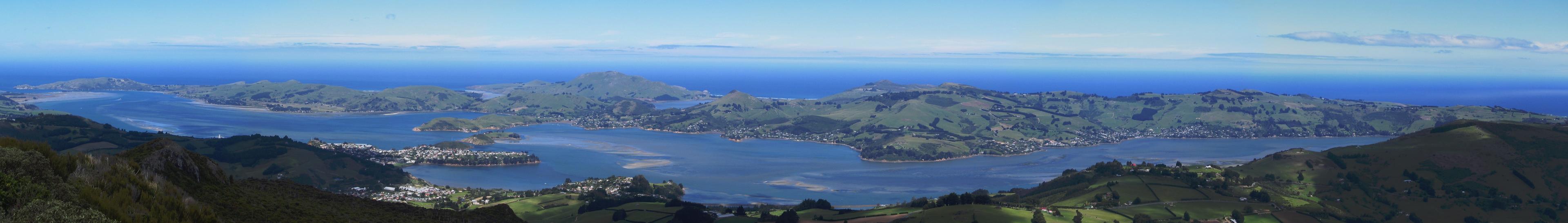 Banner image for Dunedin on GigsGuide