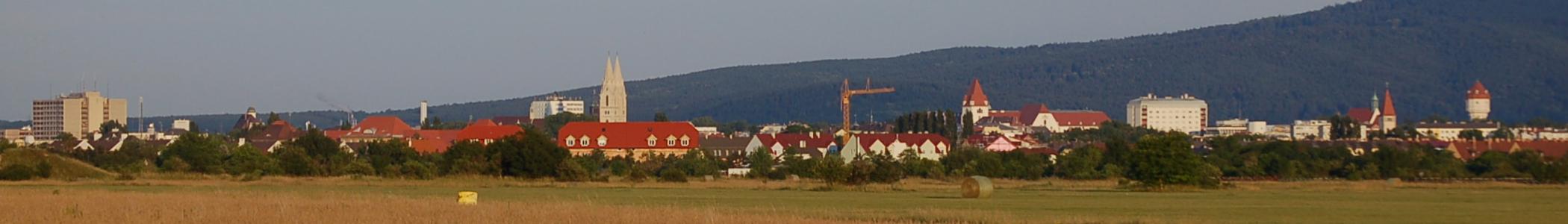 Banner image for Wiener Neustadt on GigsGuide