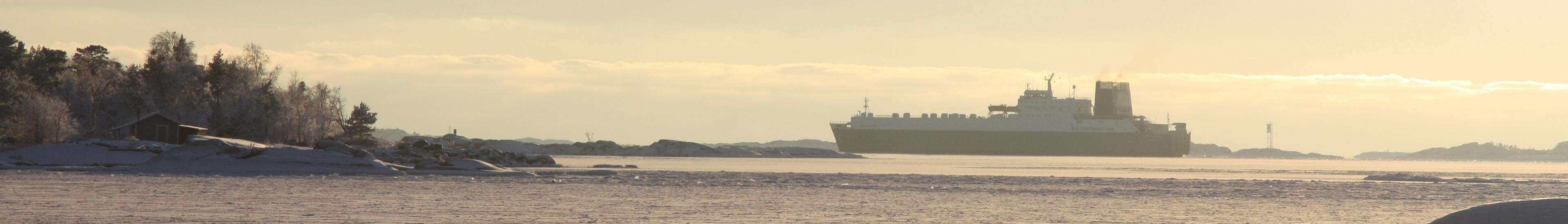 Banner image for Hanko on GigsGuide