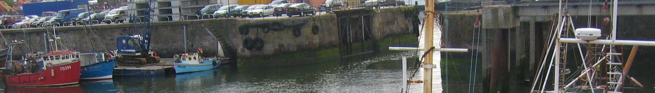 Banner image for Whitehaven on GigsGuide