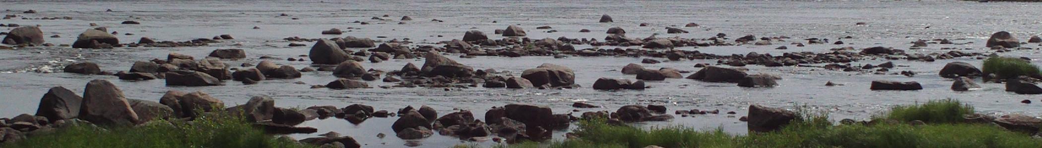 Banner image for Tornio on GigsGuide