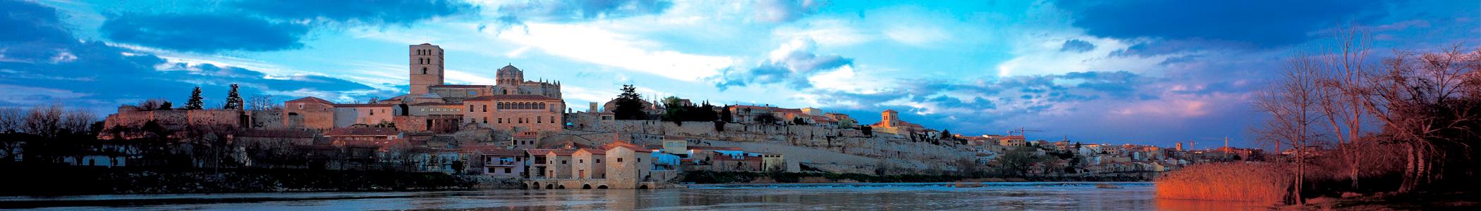 Banner image for Zamora on GigsGuide