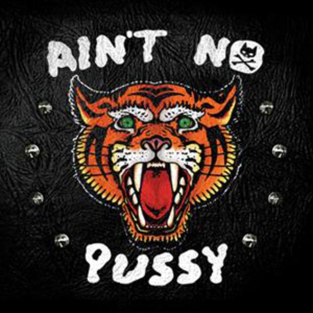 Pussycat and The Dirty Johnsons