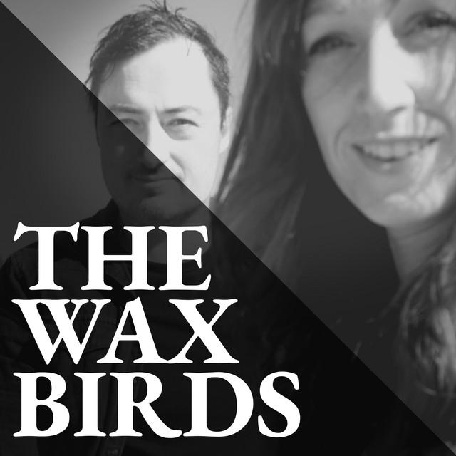 The Wax Birds