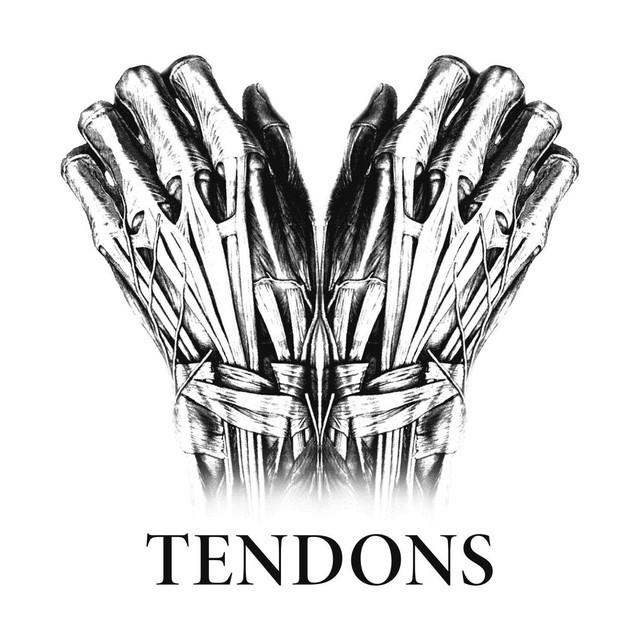Tendons