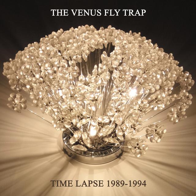 The Venus Fly Trap