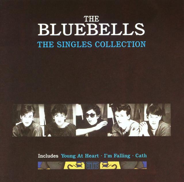 The Bluebells: Live in Concert