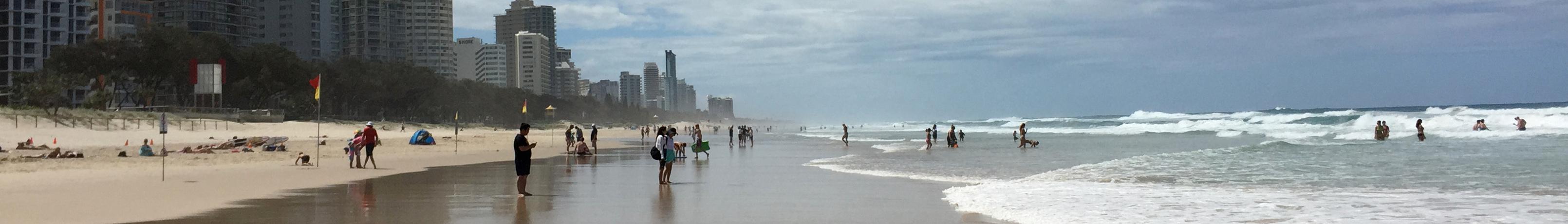 Banner image for Surfers Paradise on GigsGuide