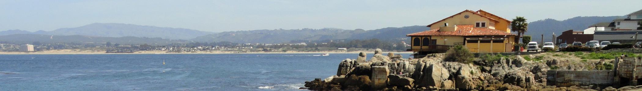 Banner image for Monterey on GigsGuide