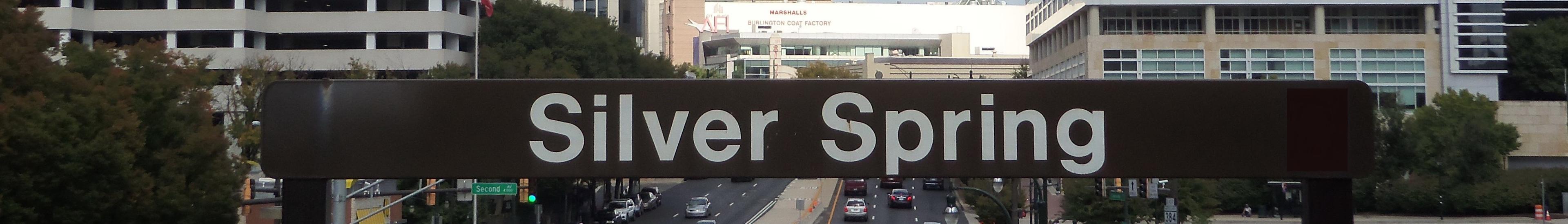 Banner image for Silver Spring on GigsGuide