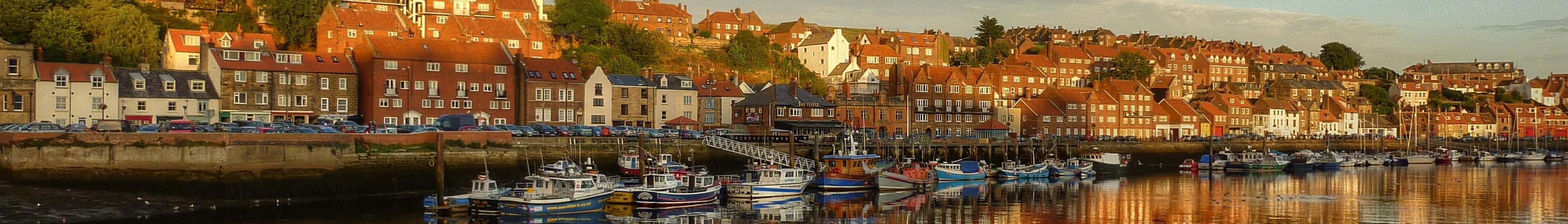 Banner image for Whitby on GigsGuide